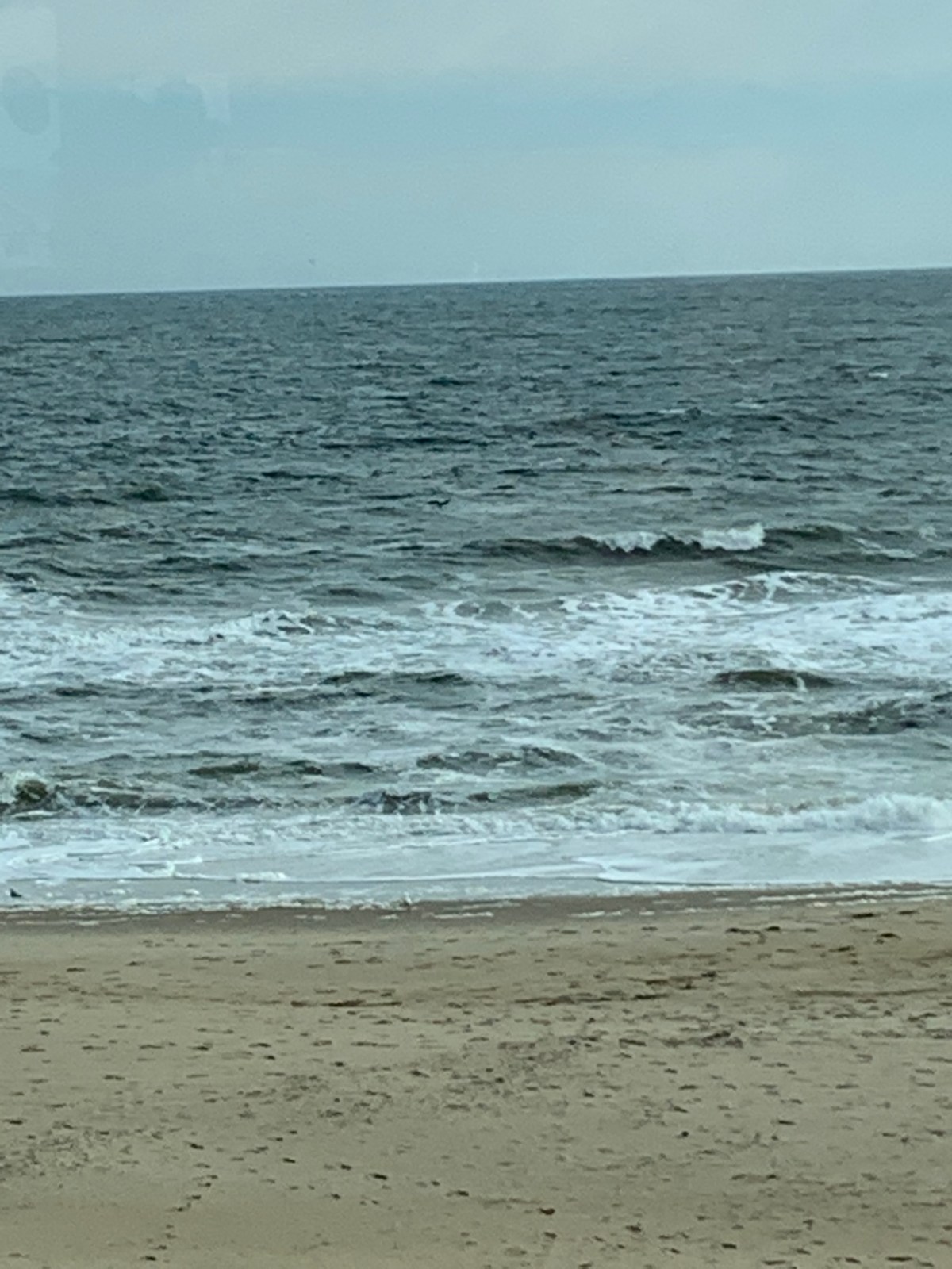 Always Never Changing